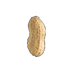 Cacahuète